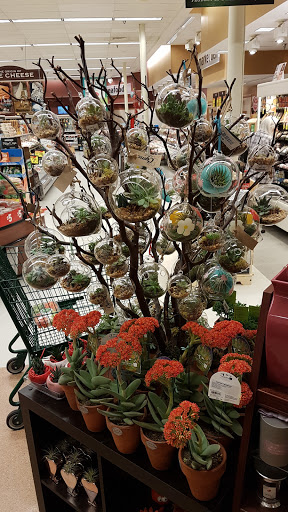 Shopping Mall «Ellsworth Shopping Center», reviews and photos, 175 High St, Ellsworth, ME 04605, USA