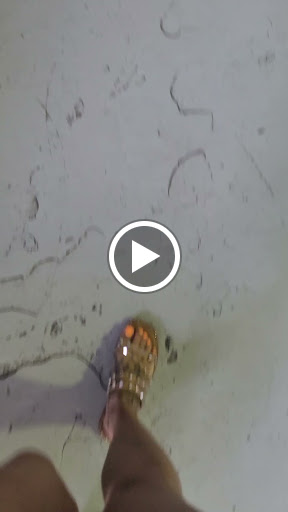 Tourist Attraction «Siesta Key Rum», reviews and photos, 2212 Industrial Blvd, Sarasota, FL 34234, USA