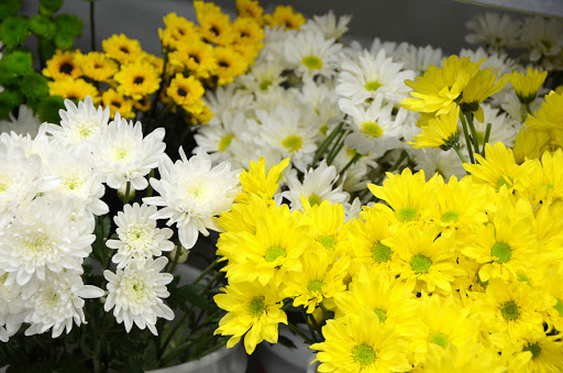 Florist «Bowden Flowers & Gifts», reviews and photos, 313 S 00 EW, Kokomo, IN 46902, USA