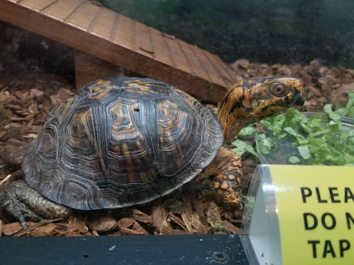 Planetarium «Fernbank Science Center», reviews and photos, 156 Heaton Park Dr, Atlanta, GA 30307, USA