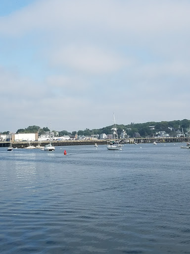 Cruise Agency «Capt. Bill & Sons Whale Watch», reviews and photos, 24 Harbor Loop, Gloucester, MA 01930, USA