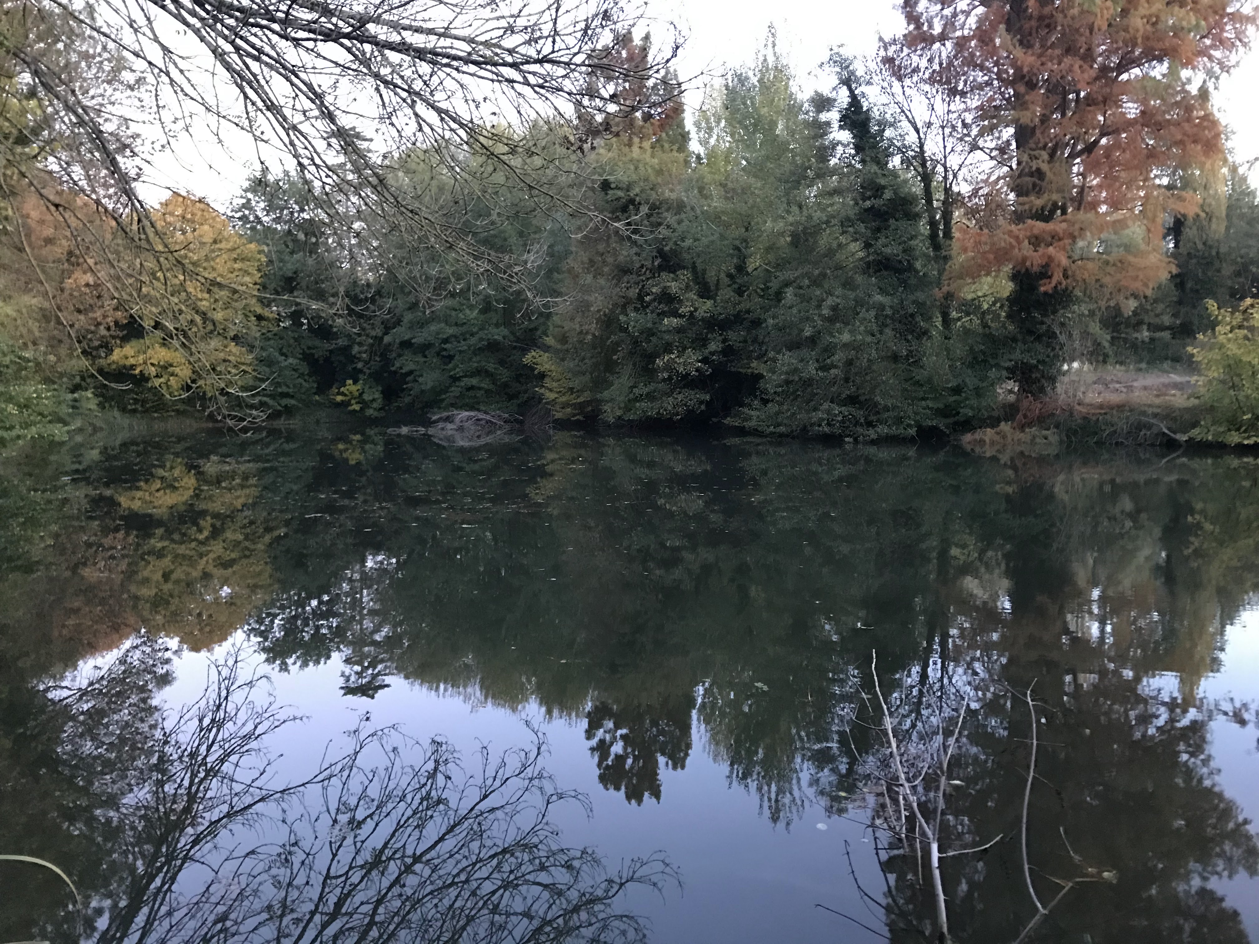Photo n° 5 de l'avis de Thibaud.I fait le 06/11/2018 à 14:43