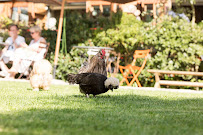 Photos du propriétaire du Restaurant français La Capucine à Giverny - n°9