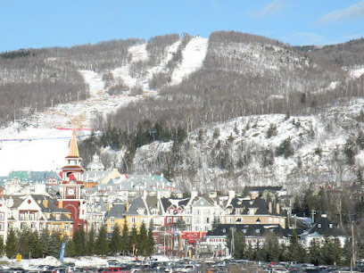 Guy Harton Courtier Immobilier Royal Lepage Humania - Mont-Tremblant