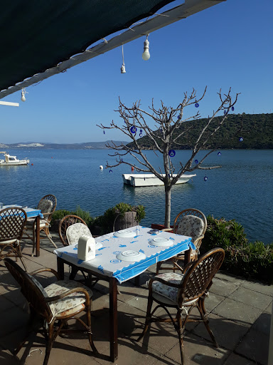 Dali Cafe Restaurant