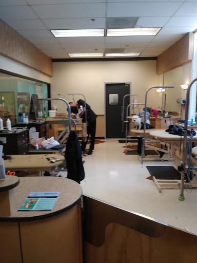 Pet Supply Store «PetSmart», reviews and photos, 1110 Hospitality Dr, Rock Hill, SC 29730, USA