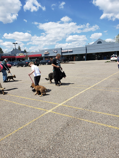 Pet Store «Feed Rite Pet Shop & Supply», reviews and photos, 11760 Belleville Rd, Belleville, MI 48111, USA