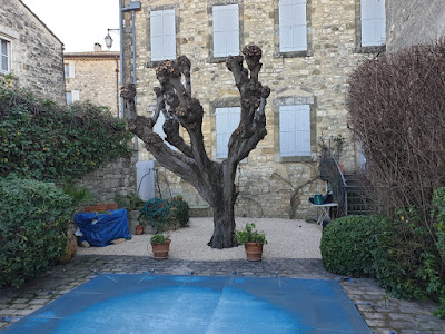 Elag pro - Elagage Et Entretien à Uzès