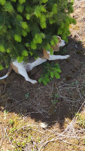 Museum «Philip Foster Farm», reviews and photos, 29912 SE Eagle Creek Rd, Eagle Creek, OR 97022, USA