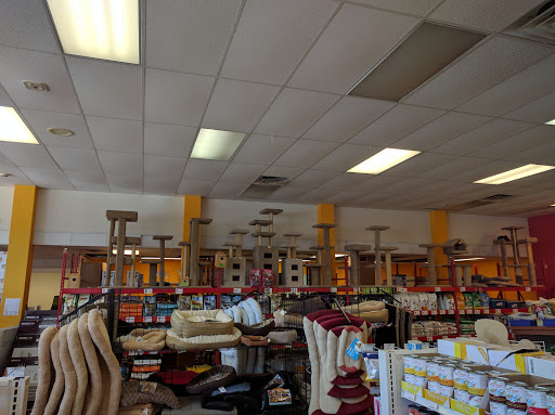 Pet Supply Store «Wolf and Lion Pet Supplies», reviews and photos, 2460 Lombard St, San Francisco, CA 94123, USA