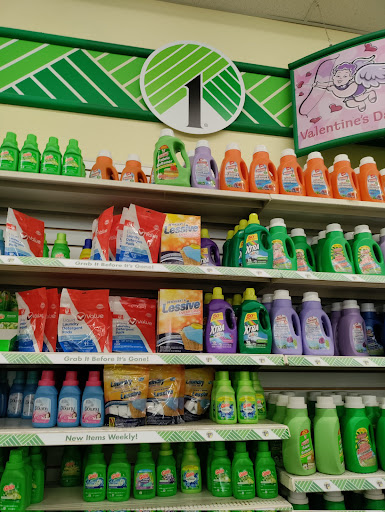 Dollar Store «Dollar Tree», reviews and photos, 9534 Main Street, Fairfax, VA 22031, USA