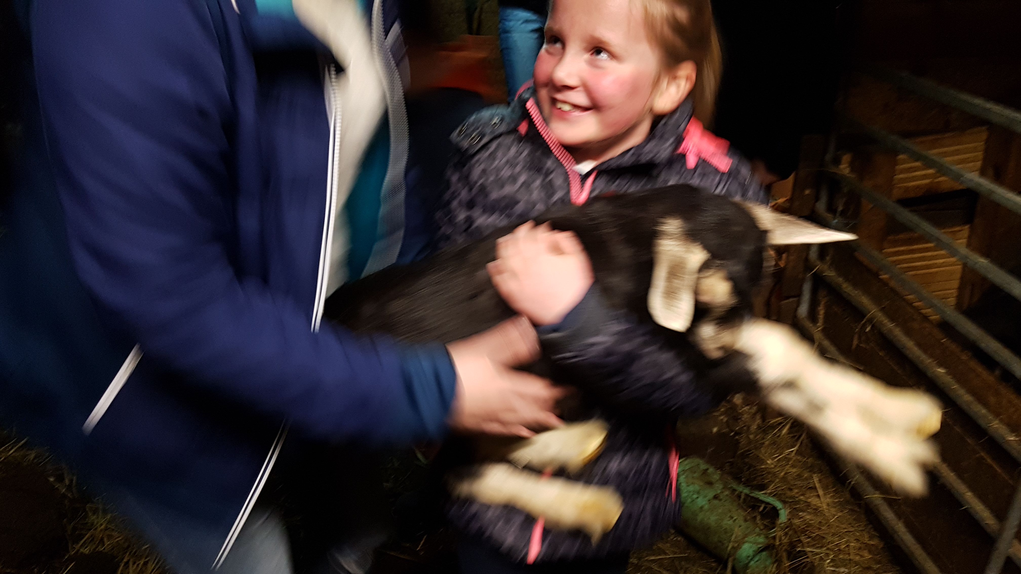 Photo n° 1 de l'avis de Gilbert.e fait le 14/04/2018 à 15:31