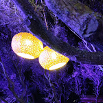 Photo n°5 de l'avis de Mariacristina.a fait le 07/08/2022 à 12:09 sur le  The Bay - Porto Rotondo à Olbia