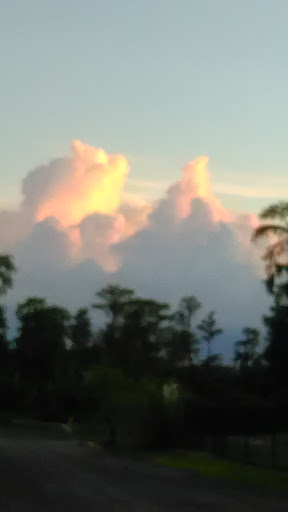 Supermarket «Kings Supermarket & Liquor», reviews and photos, 7562 US-192, Kissimmee, FL 34747, USA