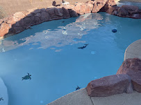 All Seasons Pool Services - Photo 4 - Car repair in North Las Vegas, NV, Sunrise Manor
