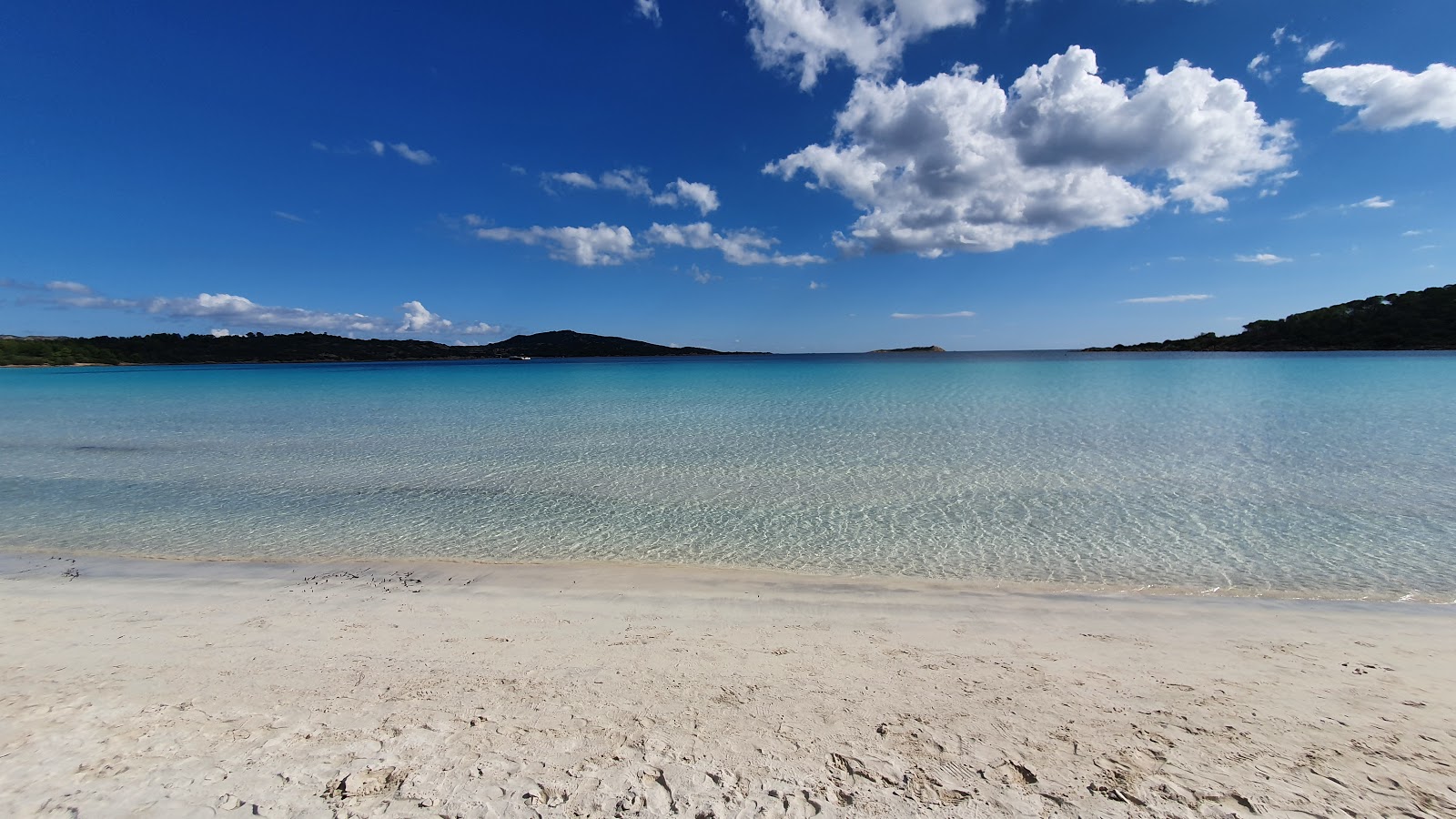 Cala Brandinchi Plajı'in fotoğrafı çok temiz temizlik seviyesi ile