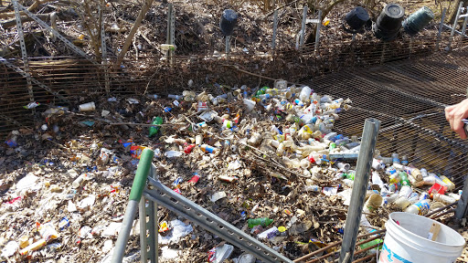 National Park «Kenilworth Park», reviews and photos, 1505 Ancostia Ave NE, Washington, DC 20019, USA