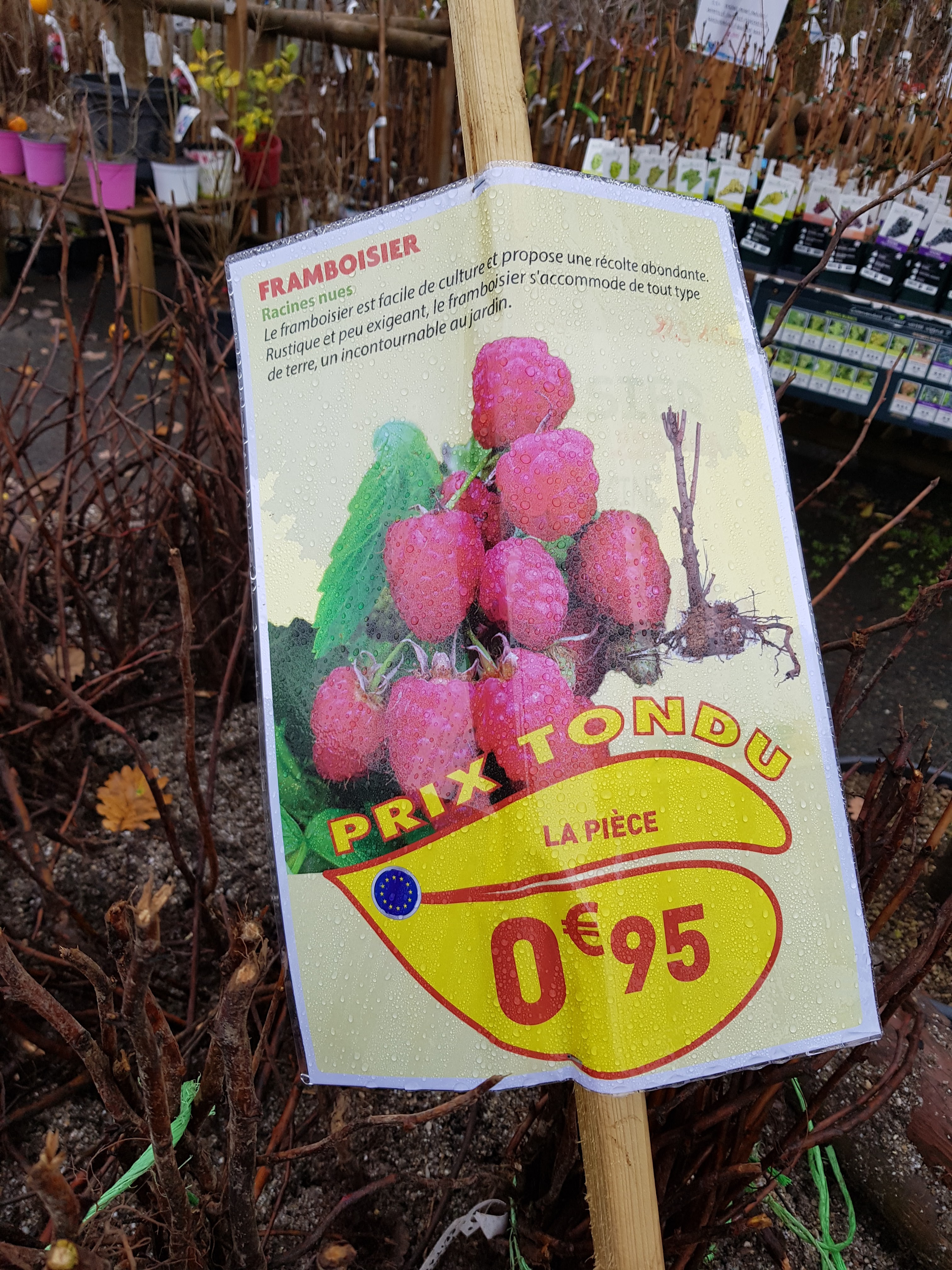 Photo n° 2 de l'avis de Philippe.e fait le 23/01/2019 à 08:30