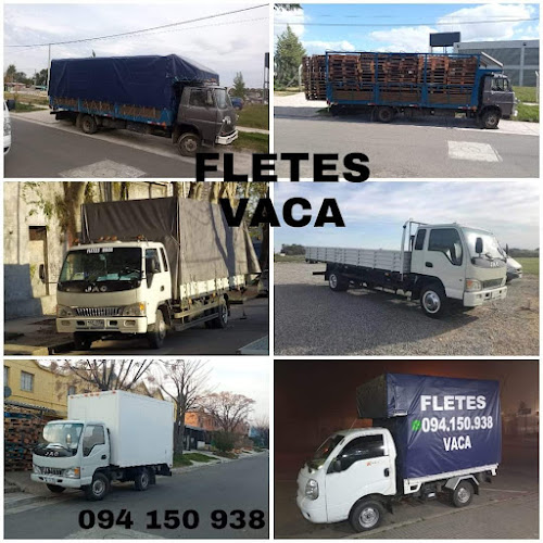 Opiniones de FLETES VACA en Montevideo - Servicio de transporte