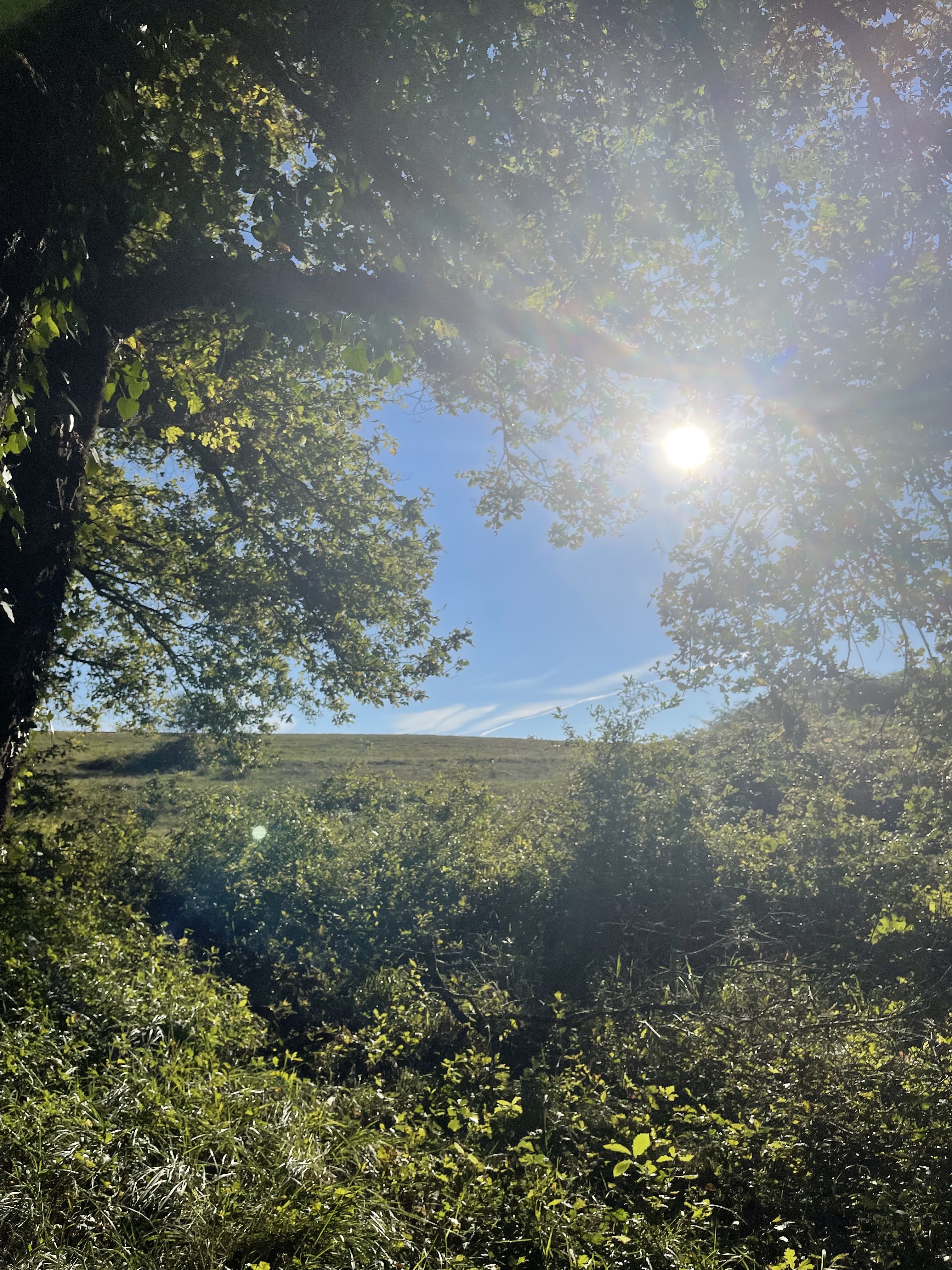 Photo n° 1 de l'avis de Emeric. fait le 17/10/2021 à 18:32