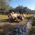 Photo n°5 de l'avis de Matteo.i fait le 31/12/2016 à 18:49 sur le  Farmhouse Casa Rosa à Verona
