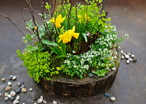 Florist «Earth Garden», reviews and photos, 89 Elm St, New Canaan, CT 06840, USA