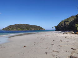 Hartmans Beach'in fotoğrafı vahşi alan