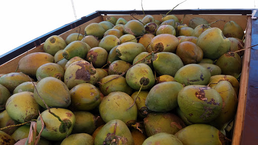 Grocery Store «Carniceria La Superior», reviews and photos, 2975 Gillsville Hwy, Gainesville, GA 30507, USA