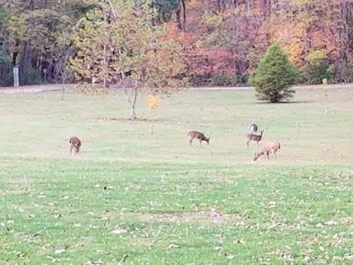 Tourist Attraction «Heflin Park», reviews and photos, 4323 W 700 N, Edinburgh, IN 46124, USA