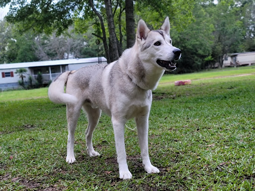 Pet Supply Store «Pet Supplies Plus», reviews and photos, 803 Hillcrest Rd, Mobile, AL 36695, USA