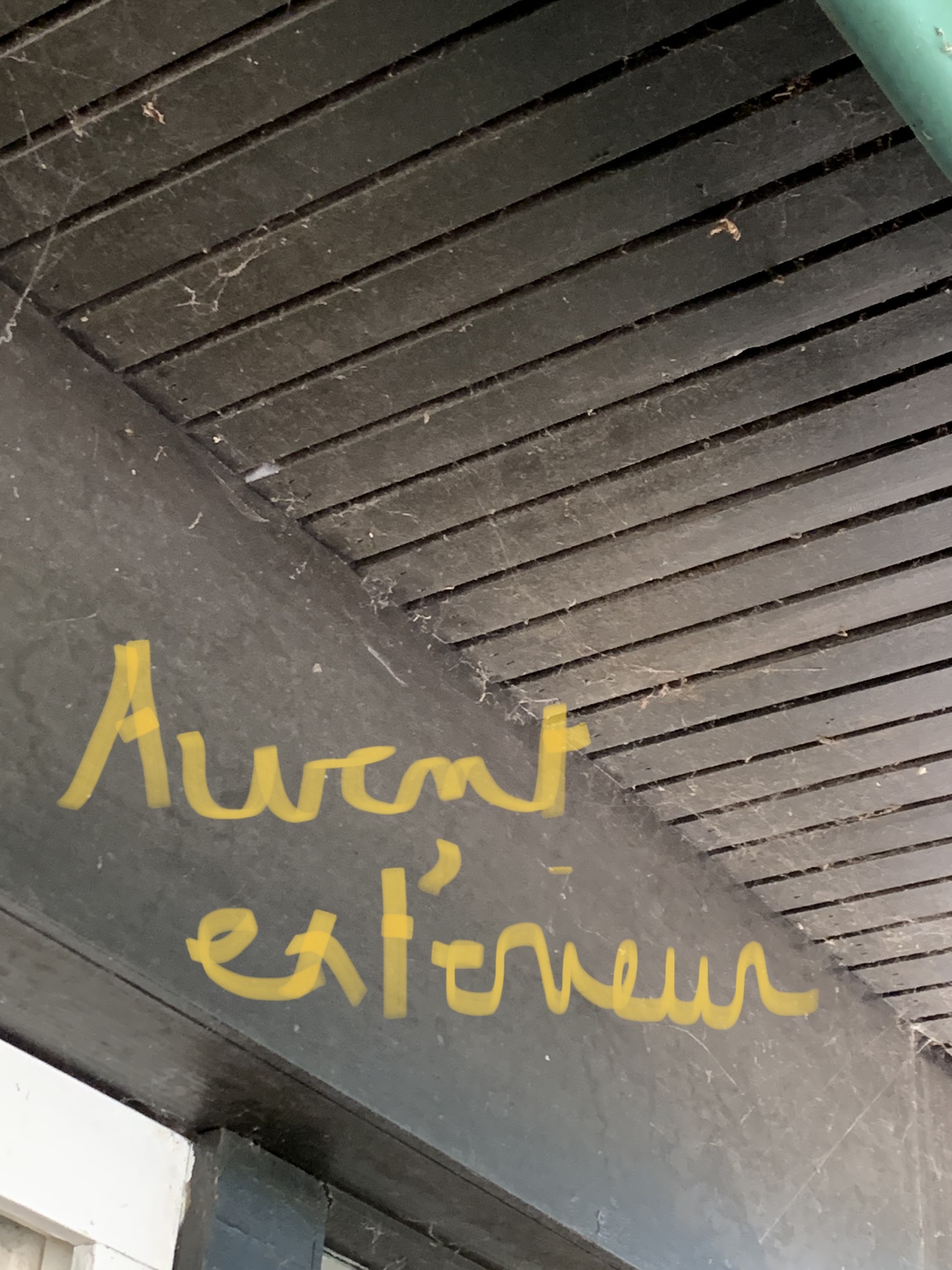 Photo n° 10 de l'avis de Euqinorev.a fait le 29/07/2022 à 05:35