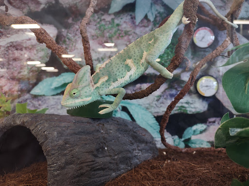 Pet Supply Store «Petco Animal Supplies», reviews and photos, 4820 South Baldwin Road #3B, Orion Township, MI 48359, USA