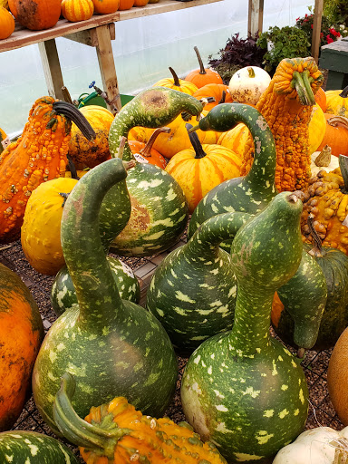 Garden Center «Hildebrant Farmers Market», reviews and photos, 349 Main Ave E, West Fargo, ND 58078, USA