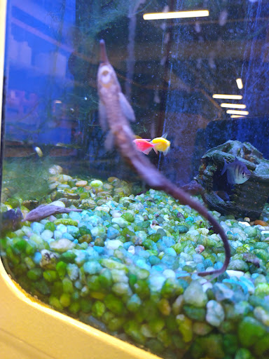 Pet Store «Bird Dog & Catfish», reviews and photos, 115 Old Boerne Rd, Bulverde, TX 78163, USA