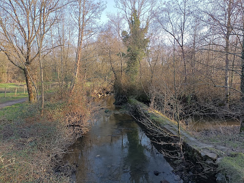 Coutaisière à La Roche-sur-Yon