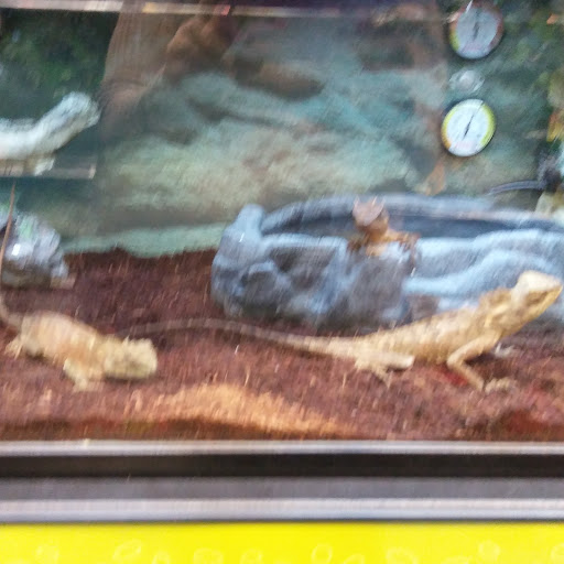 Pet Supply Store «Petco Animal Supplies», reviews and photos, 45205 Worth Ave, California, MD 20619, USA