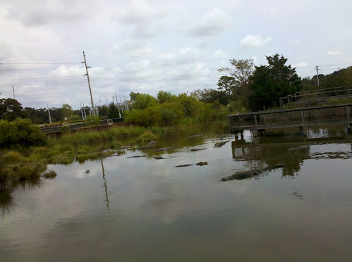 Zoo «Alligator Adventure», reviews and photos, 4604 Hwy 17 S, North Myrtle Beach, SC 29582, USA