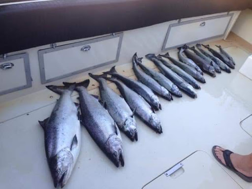 Square Tail Charters