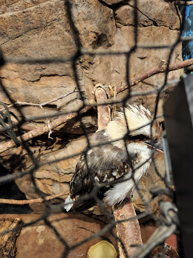 Zoo «Lake Superior Zoo», reviews and photos, 7210 Fremont St, Duluth, MN 55807, USA