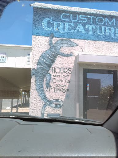 Pet Store «CUSTOM CREATURES PET SHOP», reviews and photos, 10727 N 19th Ave, Phoenix, AZ 85029, USA