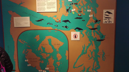 Museum «The Whale Museum», reviews and photos, 62 1st St, Friday Harbor, WA 98250, USA