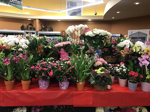 Grocery Store «Albertsons», reviews and photos, 2910 Bicentennial Pkwy, Henderson, NV 89044, USA