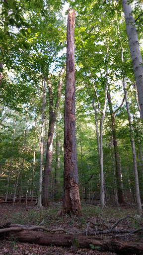 National Park «First State National Historical Park - Peters Rock Parking», reviews and photos, Thompsons Bridge Rd, Wilmington, DE 19803, USA