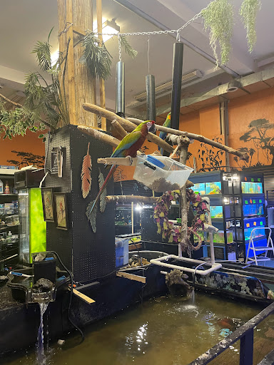 Pet Store «Off The Hook Exotics Pet Shop», reviews and photos, 926 5th Ave, Coraopolis, PA 15108, USA