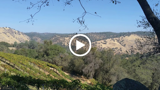 Vineyard «Gold Hill Vineyard», reviews and photos, 5660 Vineyard Ln, Placerville, CA 95667, USA