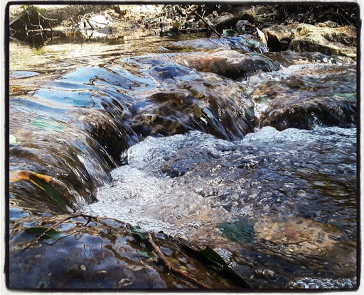 Williamson Creek