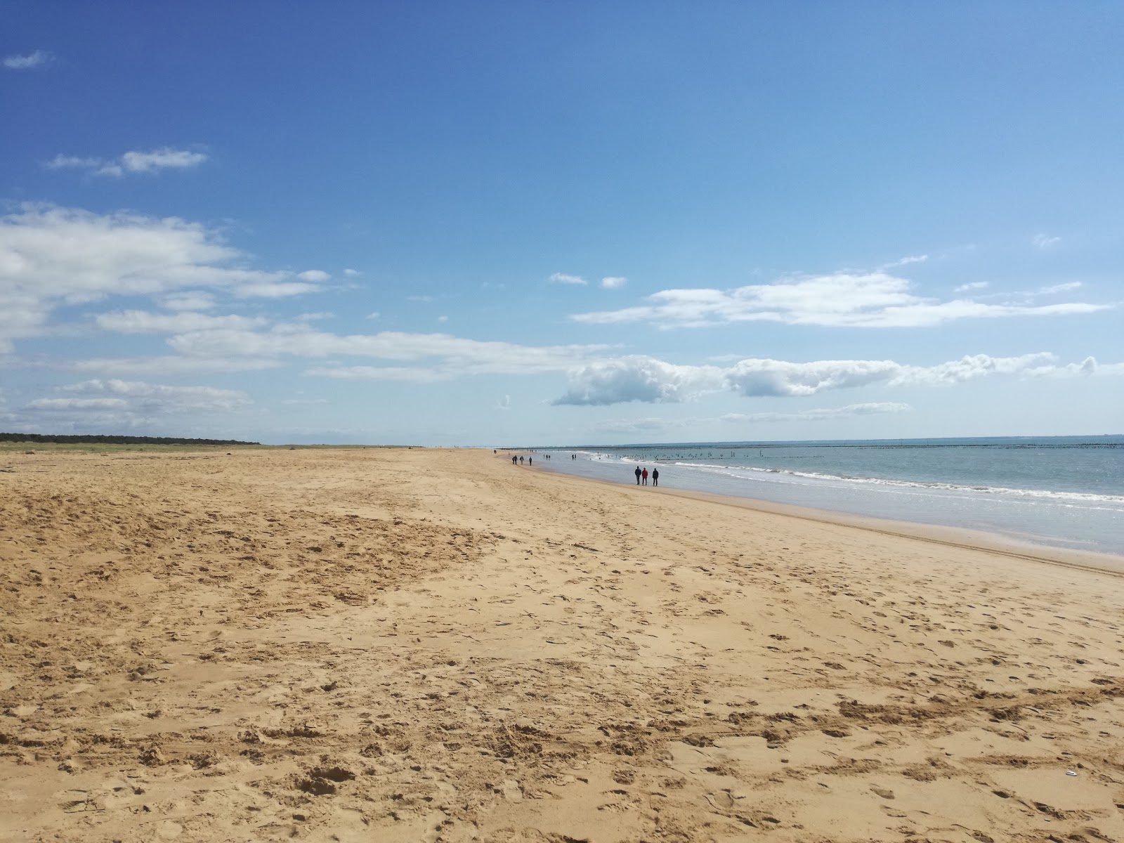 Plage de la Barrique photo #7