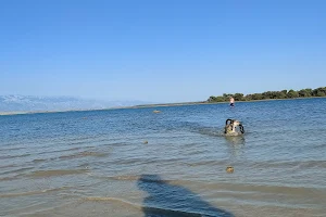 Plaža za pse image