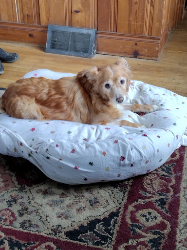 Highlands Veterinary Clinic image