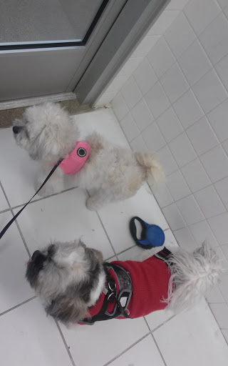 Pet Supply Store «Purely Pets», reviews and photos, 13723 23 Mile Rd, Shelby Charter Township, MI 48315, USA